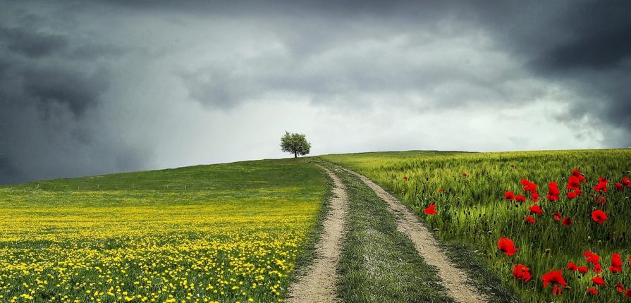 Il cibo è la prima terapia