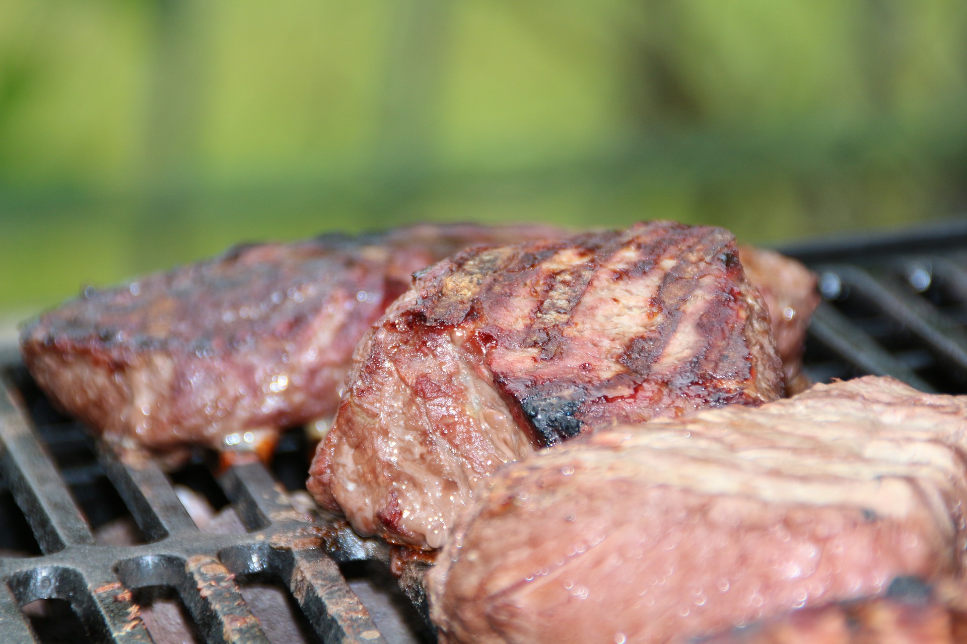 Vi piace la carne alla griglia? Allora dovete sapere che … Roberta Martinoli Vi piace la carne alla griglia? Allora dovete sapere che … Roberta Martinoli