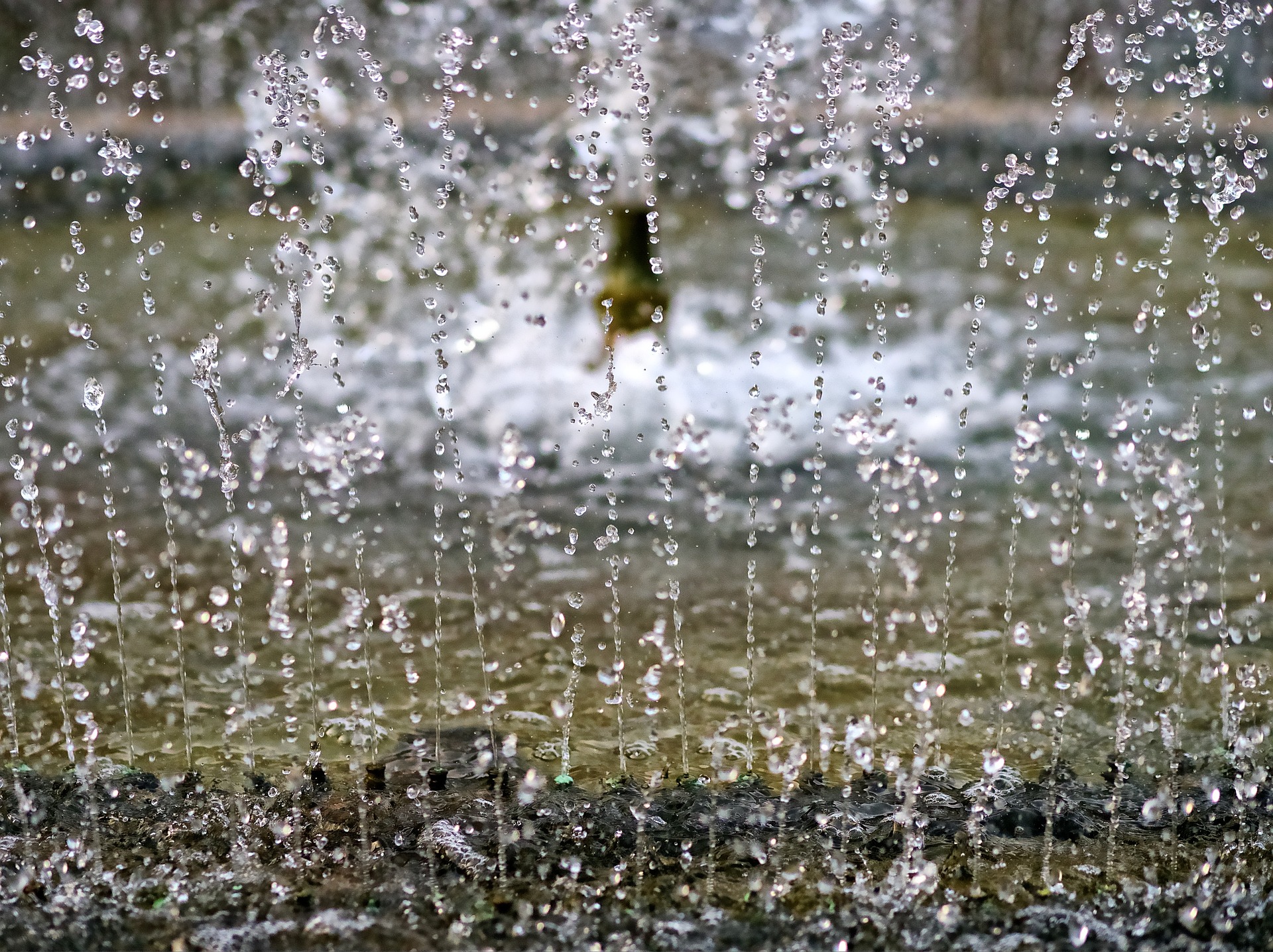 la fluidità è conessione