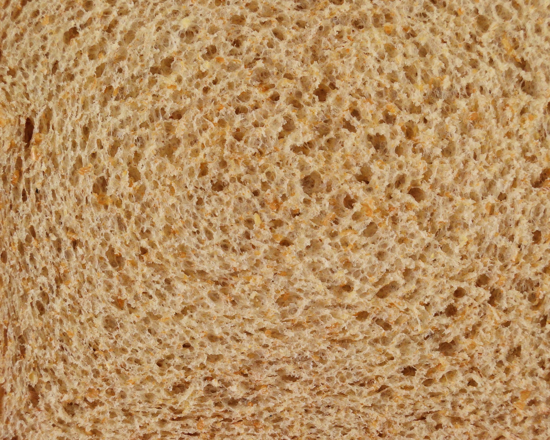 Pane proteico